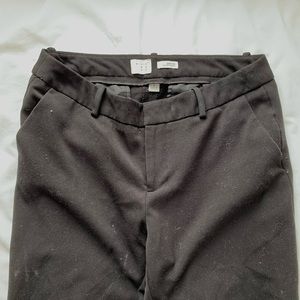 Women’s Black Dress Pants